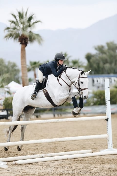 cost of equestrian lessons and equipment